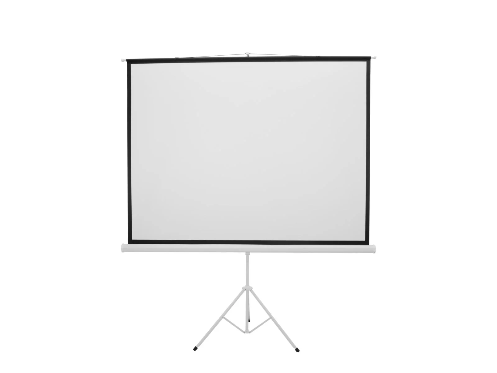 Leinwand / Projection Screen 2m